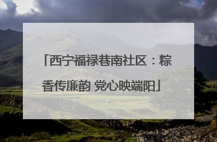 西宁福禄巷南社区：粽香传廉韵 党心映端阳